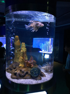 Aquarium