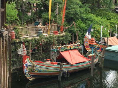 Animal Kingdom