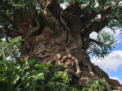 Tree of Life