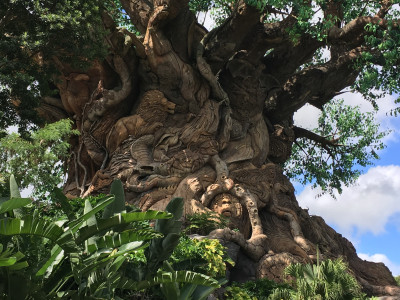 Tree of Life