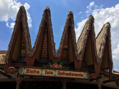 Disney Magic Kingdom