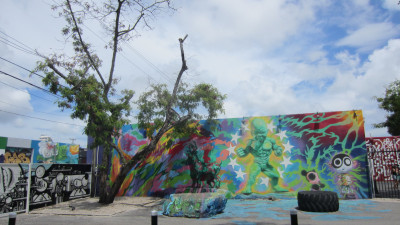 Wynwood Walls