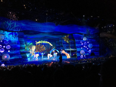 Finding Nemo