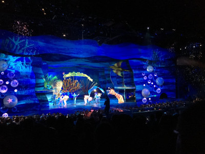 Finding Nemo