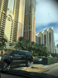 Ocean Boulevard