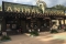 Ingang Animal Kingdom