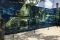 Wynwood Walls