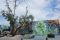 Wynwood Walls