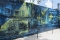 Wynwood Walls