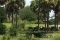 Kilimanjaro Safari Bus