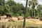 Kilimanjaro Safari Olifanten