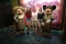 Op de foto met Mickey en Minnie