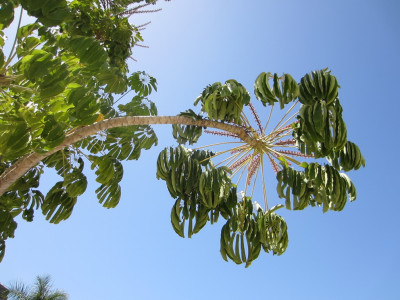 Natuurschoon Puerto de Mogan
