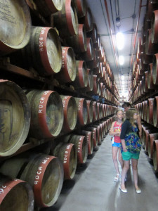 Vaten in Rumfabriek Arucas