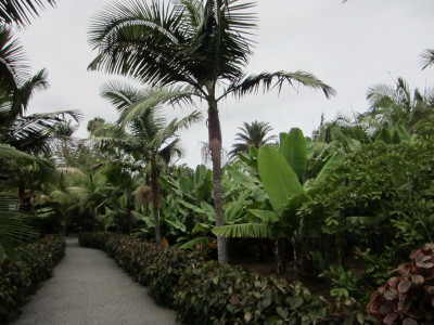 Botanische Tuin in Arucas