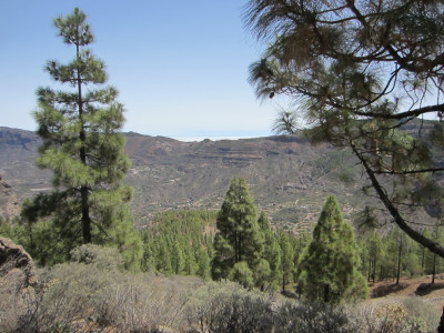 Op weg naar Roque Nublo