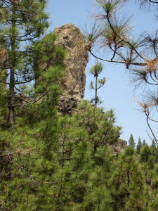 Uitzicht naar Roque Nublo