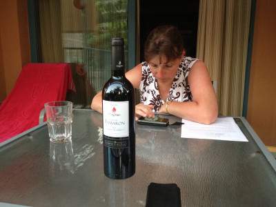Fles wijn op terras Appartement