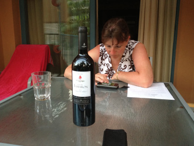 Fles wijn op terras Appartement