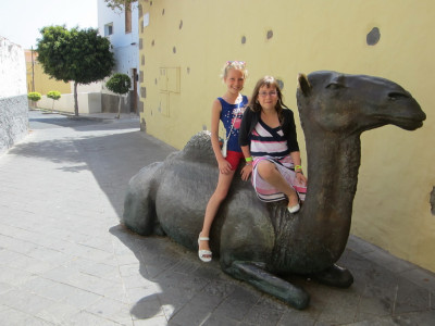 Bronzen Beeld Kameel in Aguimes