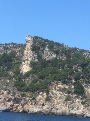 Leeuwenkop