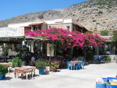 Bloemenpracht bij Terras op Kalymnos