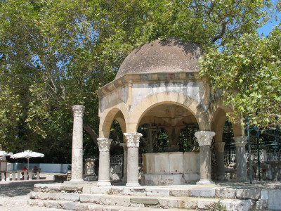 Plataan van Hippocrates