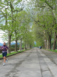 Wandelpromenade op stadsmuren Lucca