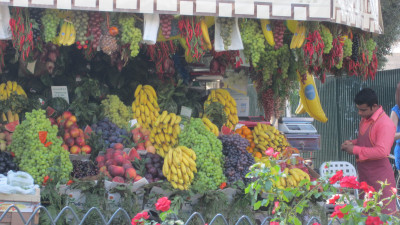 Fruitkraampje