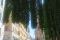 Wandelen Rome