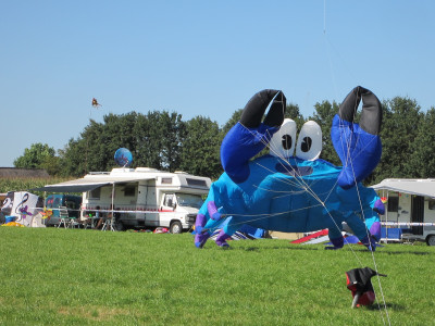 Krab Vlieger