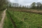 Padje in Pannehoef