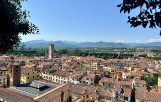 Uitzicht vanaf Torre Guinigi in Lucca