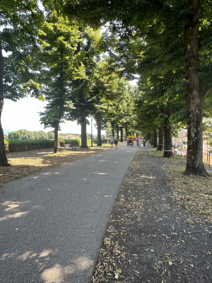 Wandeling rondom Lucca