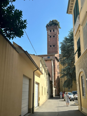 Torre Guinigi