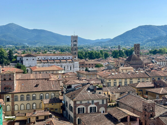 Uitzicht vanaf Torre Guinigi