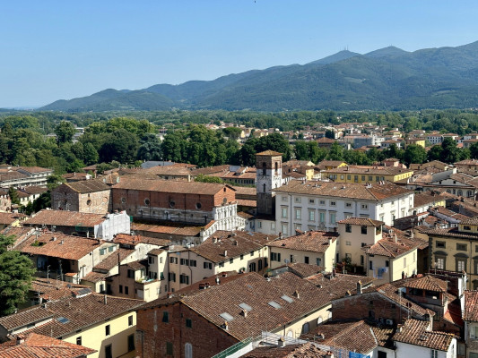 Uitzicht vanaf Torre Guinigi