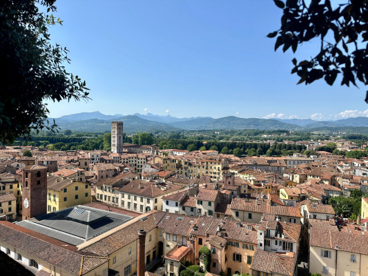 Uitzicht vanaf Torre Guinigi