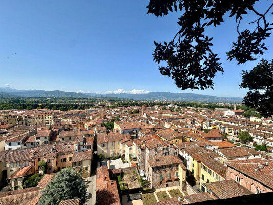 Uitzicht vanaf Torre Guinigi