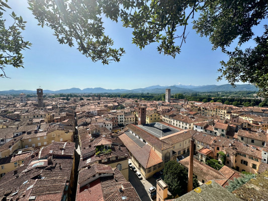 Uitzicht vanaf Torre Guinigi