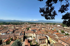 Uitzicht vanaf Torre Guinigi