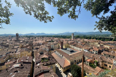Uitzicht vanaf Torre Guinigi