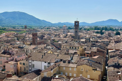 Uitzicht vanaf Torre Guinigi