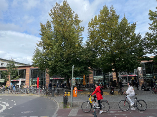 Marheineke Markthalle