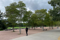 Park am Gleisdreieck