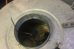 Hop en smaakmakers toevoegen