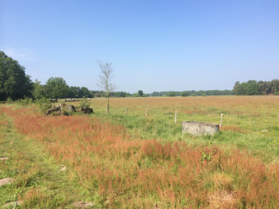 Natuurschoon tijdens Wandeltocht Achtmaal