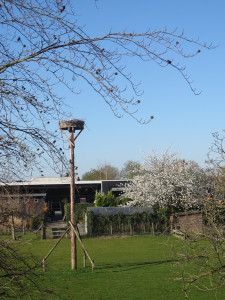 Ooievaarsnest