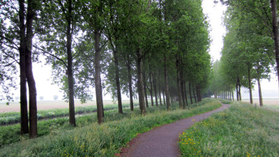 Dag 1 - Omgeving