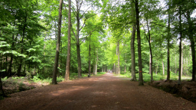 Dag 3 - Omgeving